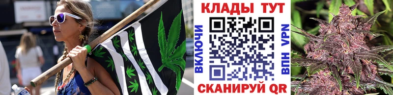 Купить Alpha PVP Бутират Мефедрон Галлюциногенные грибы ГАШ МАРИХУАНА Камышин