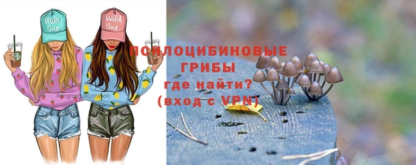 тгк Няндома