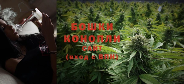 гидра Нязепетровск