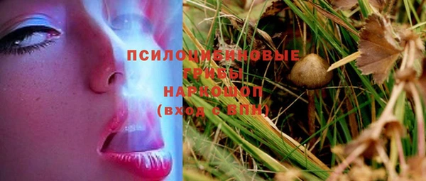 стаф Нягань