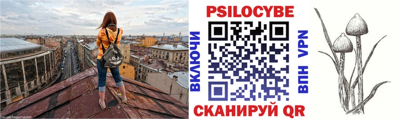 Галлюциногенные грибы прущие грибы  Купить  Камышин 